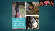 Load image into Gallery viewer, Equine Super Goo Original Topical Ointment
