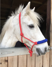 Load image into Gallery viewer, Rope halters
