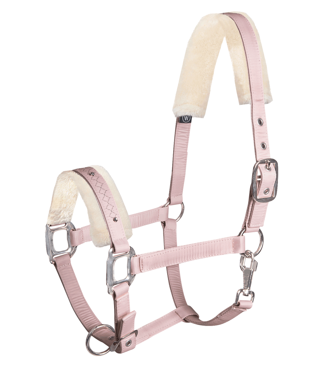 Barcelona Head collar
