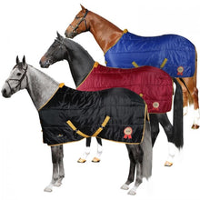Load image into Gallery viewer, Horses rosemary stable rug 350g

