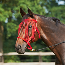 Load image into Gallery viewer, FIELD SAFE HEAD COLLAR WITH MATCHING  FLY FRINGE
