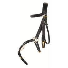 Load image into Gallery viewer, Mexican Style bridle -with padded grackle noseband

