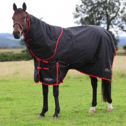 GALLOP Trojan Dual 200 set turnout