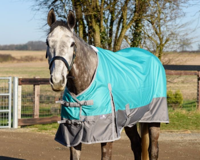 Two tone premium lightweight turnout Rug clearance