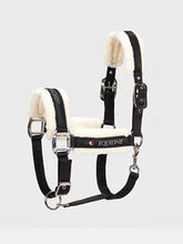 Load image into Gallery viewer, Cavezza Equiline Tom Ecowool head collar

