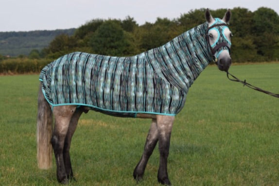 The Honsie