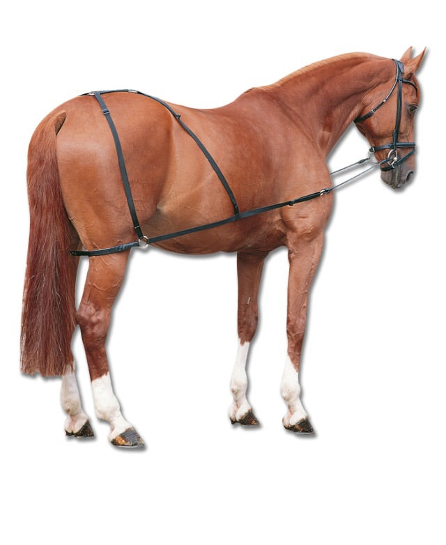 Combi trainers aid