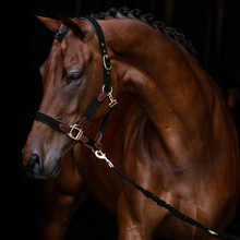 Load image into Gallery viewer, Hs Enigma head collar
