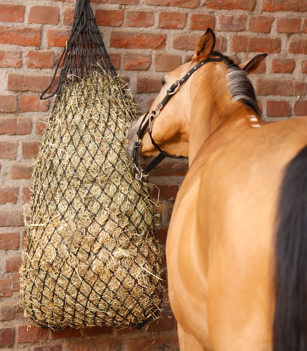 Extra large hay net offer