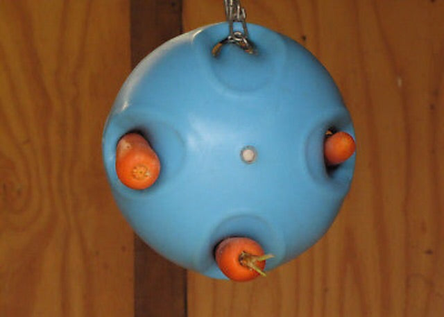 carrot ball