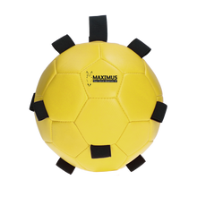 Load image into Gallery viewer, F&amp;P BALL
