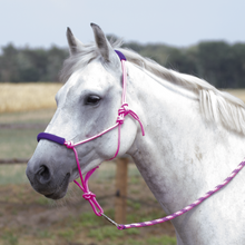 Load image into Gallery viewer, BUSSE TWO TONE HALTER AND LEAD SET

