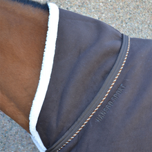 Load image into Gallery viewer, Hs Teddy deep lined fleece rug
