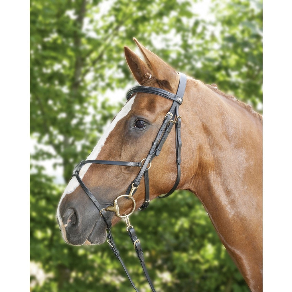 Mexican Style bridle -with padded grackle noseband