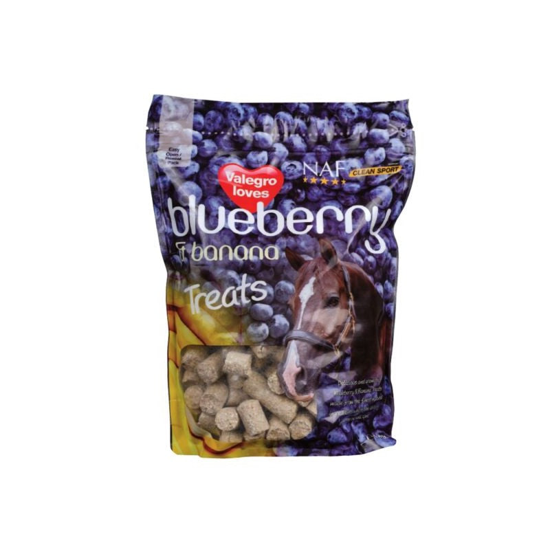 New Naff blueberry and banana treats