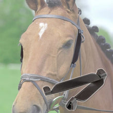Load image into Gallery viewer, Horse blinkers
