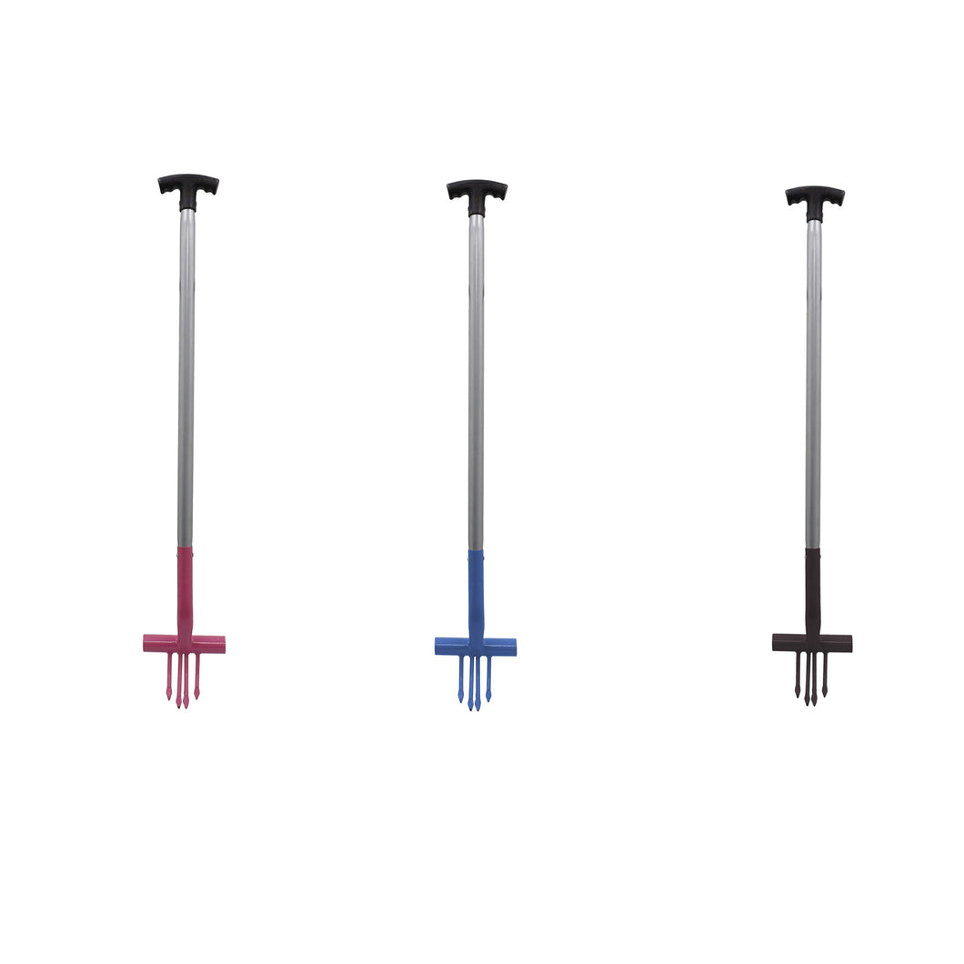 PERRY RAGWORT FORKS