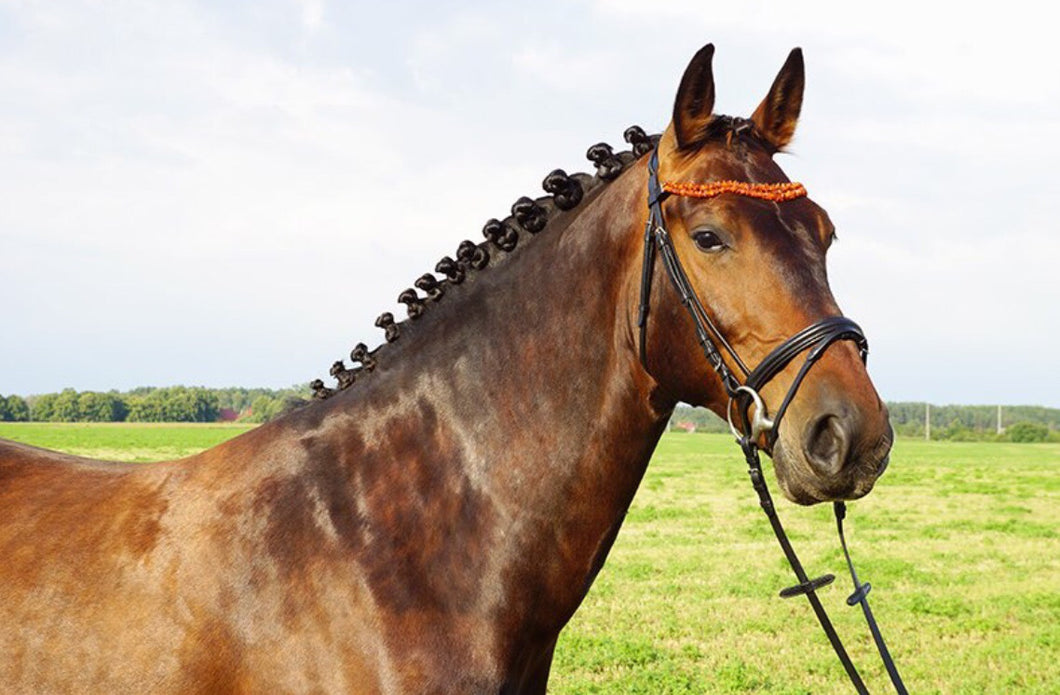 GR Amber bridle