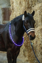 Load image into Gallery viewer, Led horse collar
