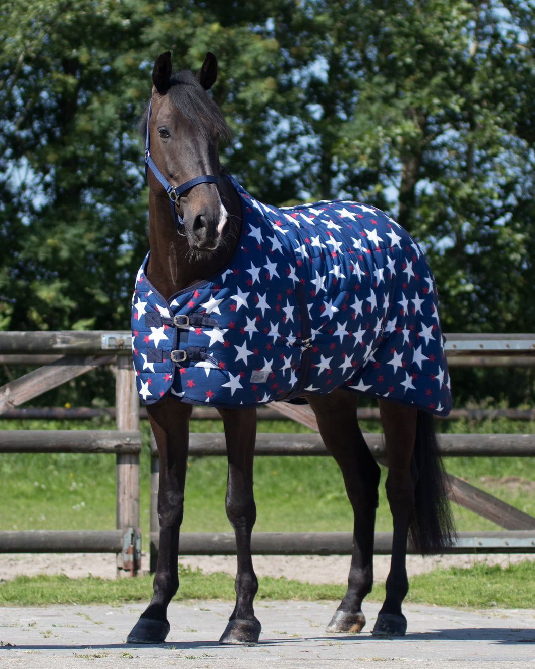 Start nylon stable rug 150G