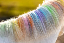 Load image into Gallery viewer, Lucky horse unicorn coloured chalk
