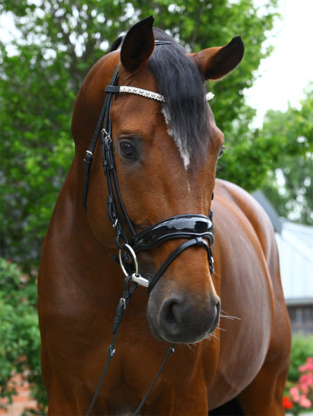 ELEGANCE’ SNAFFLE BRIDLE WITH PATENT ANATOMICAL NOSEBAND