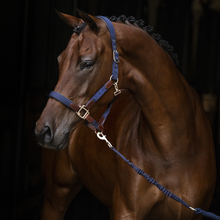 Load image into Gallery viewer, Hs Enigma head collar

