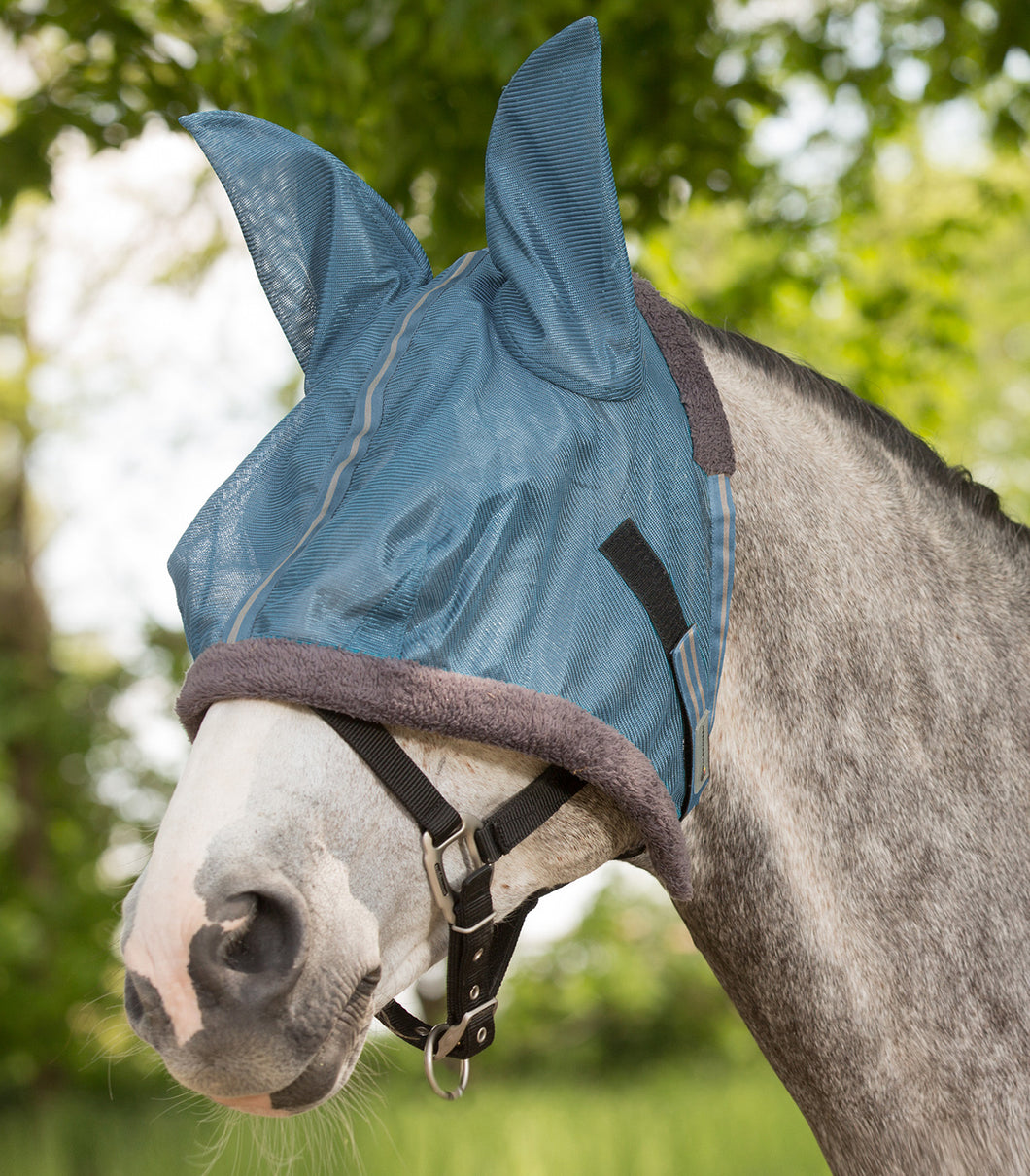 Protect fly mask offer