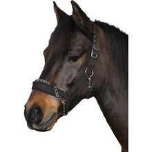 Load image into Gallery viewer, HG Head Collar With chain
