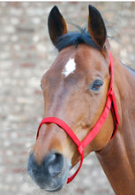 Load image into Gallery viewer, Field safe halter

