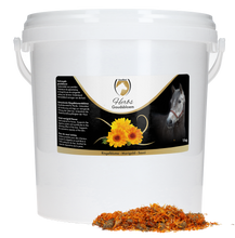 Load image into Gallery viewer, Excellent Herbs Marigold
