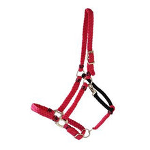 Load image into Gallery viewer, Gr Kentucky head collar
