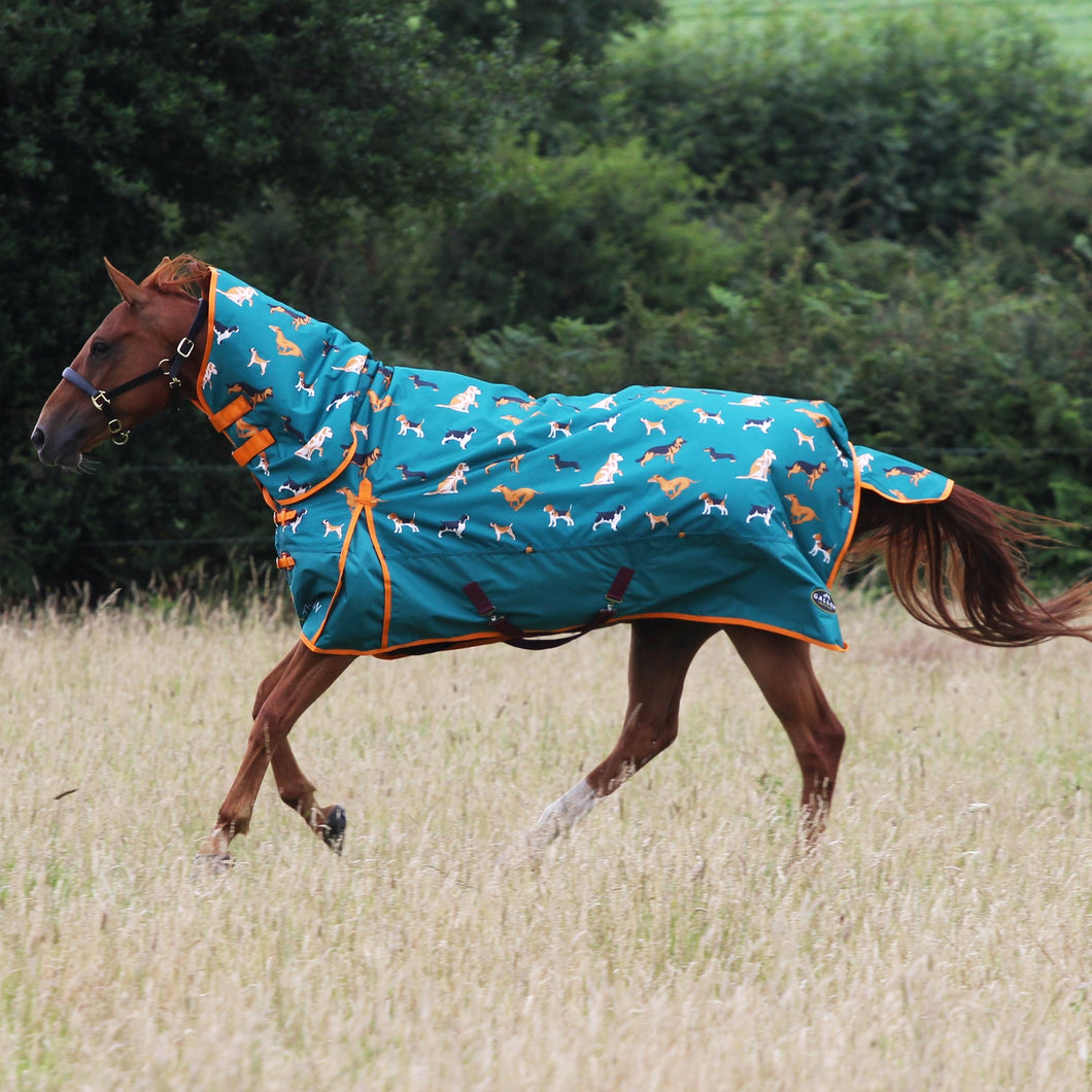 Dog combo 200g turnout rug