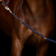 Load image into Gallery viewer, Hs Enigma lead rope

