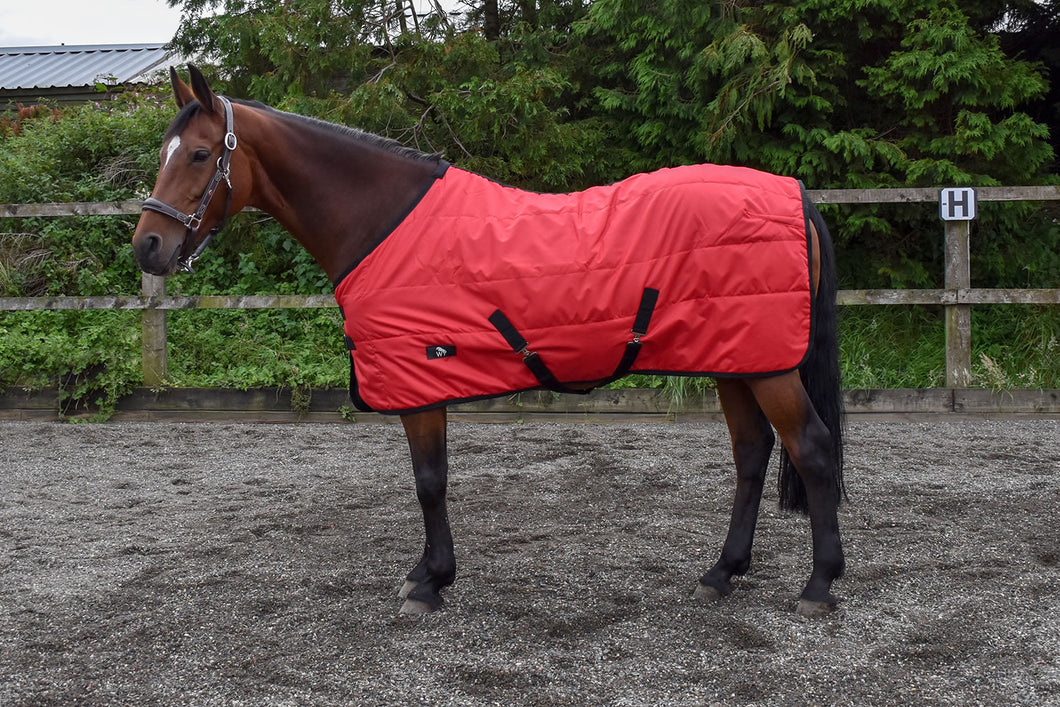 Michael 100g stable rug offer