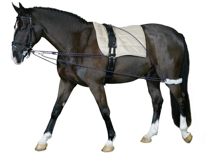 horseguard training aid