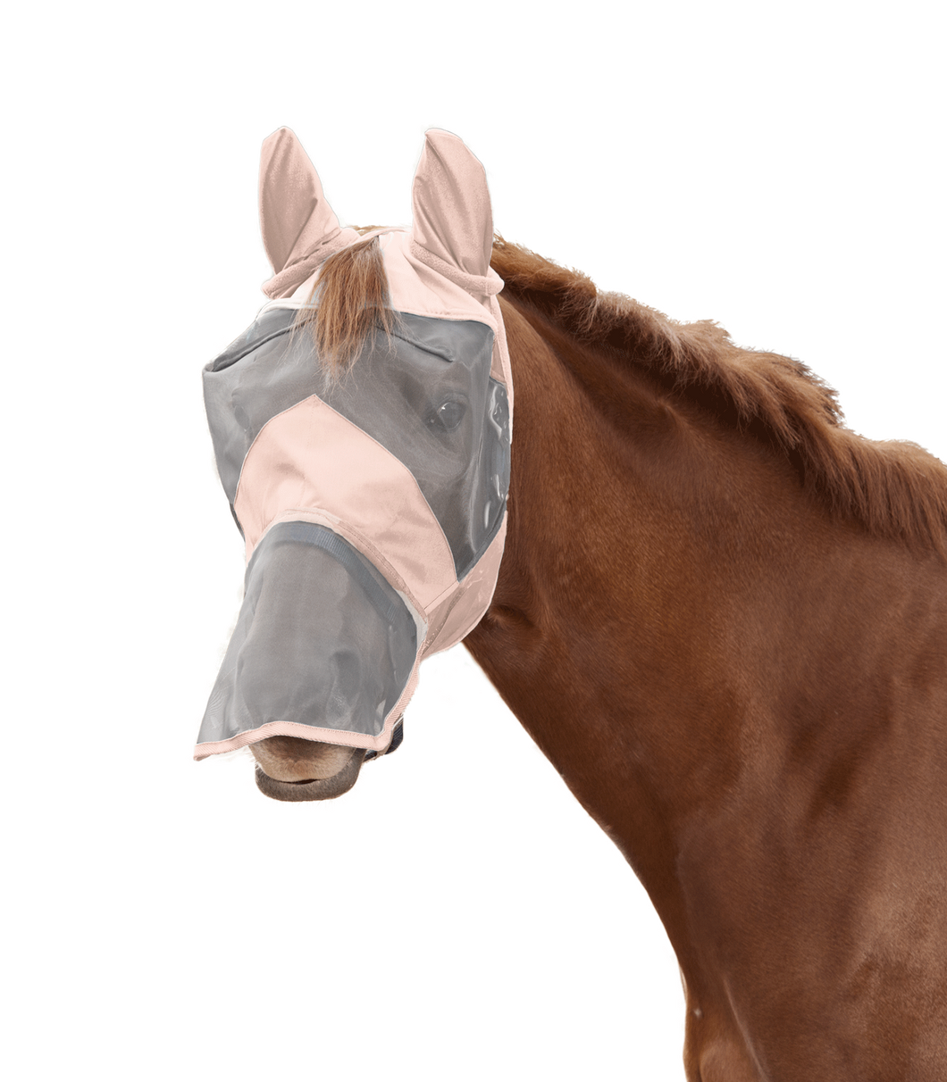 W rose pink fly mask with nose
