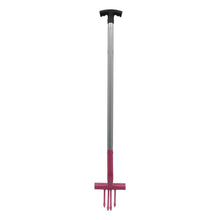Load image into Gallery viewer, PERRY RAGWORT FORKS
