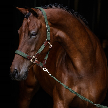 Hs Enigma head collar