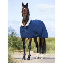 Load image into Gallery viewer, Hs Teddy deep lined fleece rug

