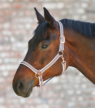 Load image into Gallery viewer, Rose shine head collar set
