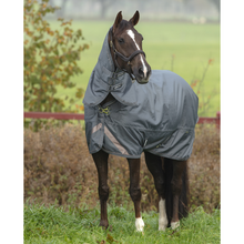 Load image into Gallery viewer, HS Combination comfort rug 200G

