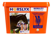 Load image into Gallery viewer, HORSLYX MOBILITY BALANCER LICK - 5 KG and 15KG
