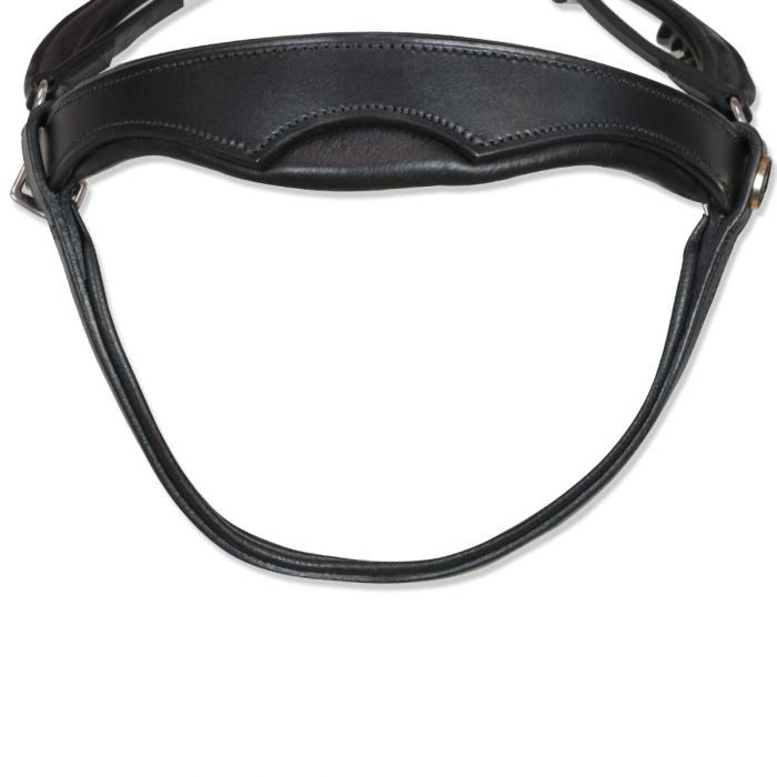 Horses tasting anatomical bridle