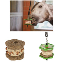 Load image into Gallery viewer, DELIZIA SANDWICH TREATS SET INCLUDING HOLDER
