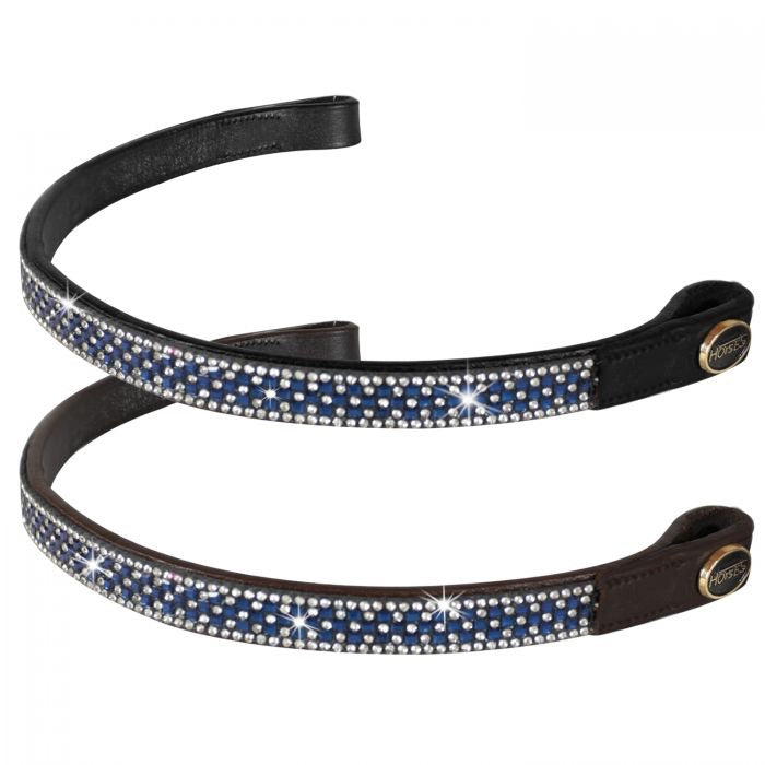 Horses blue brow band