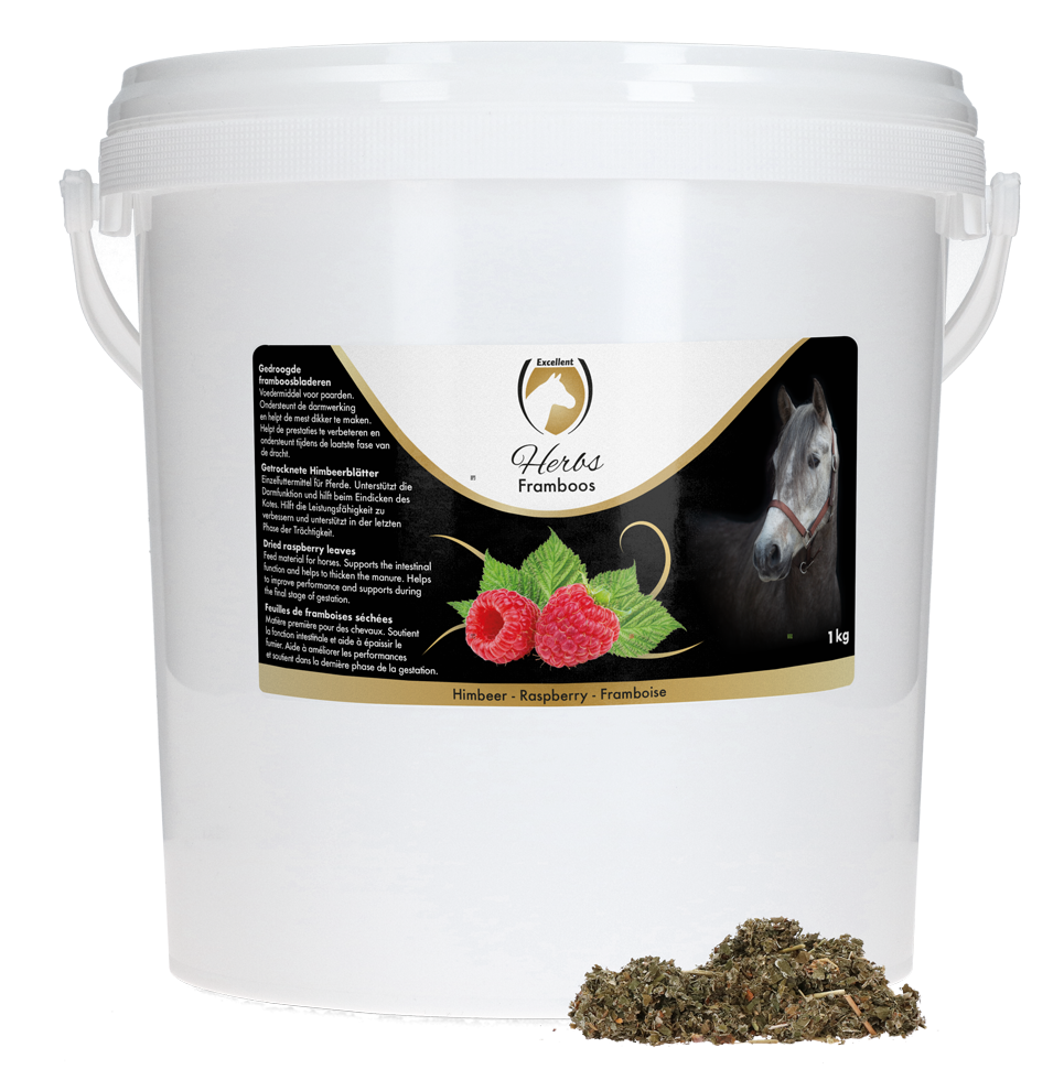 Excellent Herbs Raspberry