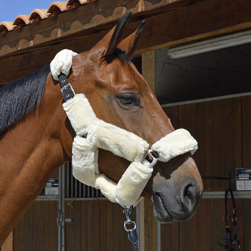 CCGB Synthetic sheepskin halter