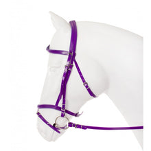 Load image into Gallery viewer, Flashy synthetic bridle
