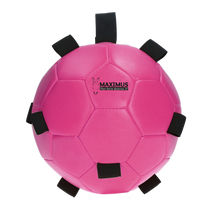 Load image into Gallery viewer, F&amp;P BALL

